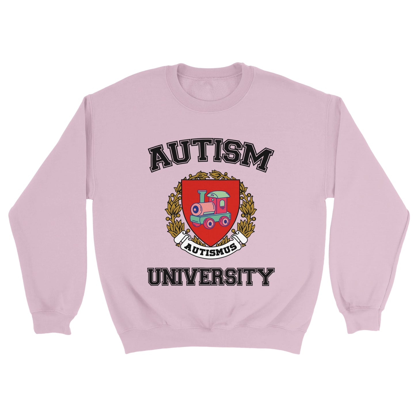 Autism university